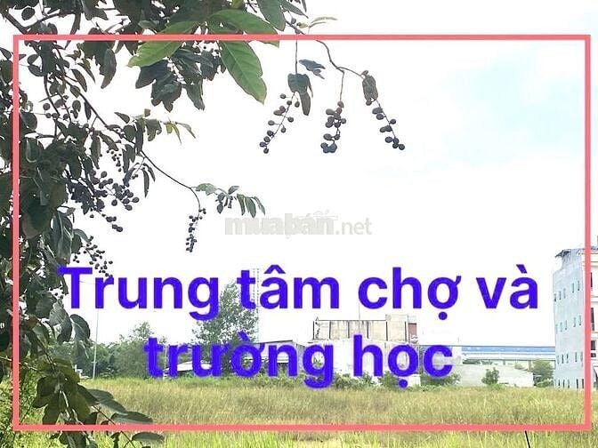 CHÍNH CHỦ CẦN TIỀN BÁN GẤP CẮT LỔ 400TR  , KDC TÂN ĐÔ