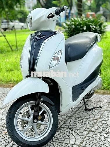 Grande 2019 abs đèn led. biển 43