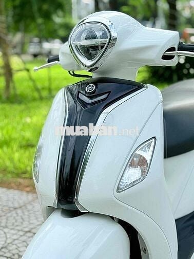 Grande 2019 abs đèn led. biển 43