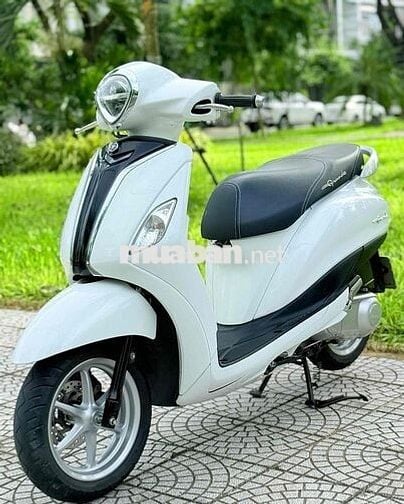 Grande 2019 abs đèn led. biển 43