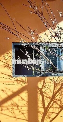 Penthouse cao cấp view triệu $ - không gian sống tuyệt vời - đẳng cấp