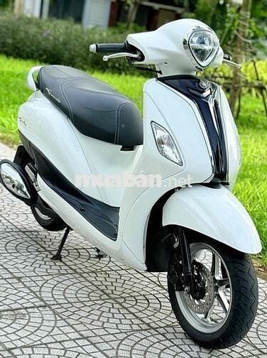 Grande 2019 abs đèn led. biển 43