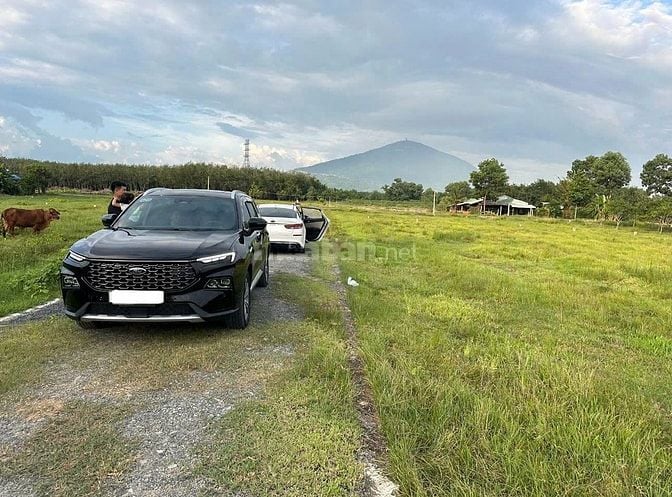 Bán Gấp Lô Đất Đẹp Giá Tốt DT 3.700m² Tại Tân Hòa, Tân Bình, TP. Tây