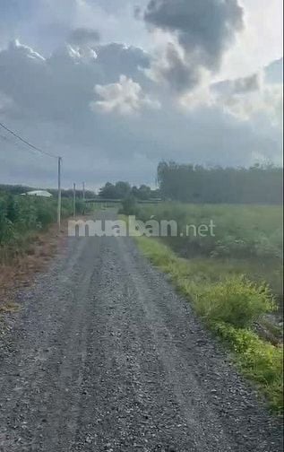 Bán Gấp Lô Đất Đẹp Giá Tốt DT 3.700m² Tại Tân Hòa, Tân Bình, TP. Tây