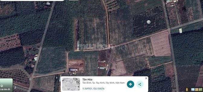 Bán Gấp Lô Đất Đẹp Giá Tốt DT 3.700m² Tại Tân Hòa, Tân Bình, TP. Tây