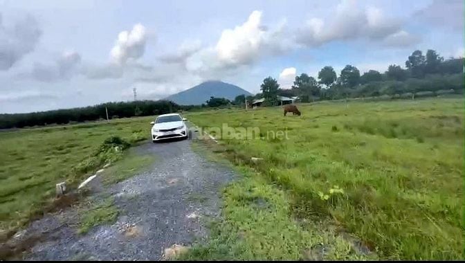 Bán Gấp Lô Đất Đẹp Giá Tốt DT 3.700m² Tại Tân Hòa, Tân Bình, TP. Tây