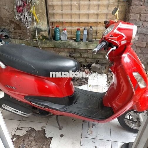 SYM Elizabeth tứ quý 4