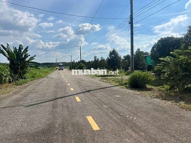 Chủ kẹt tiền cần ra gấp lô đất mặt tiền DH519, 388m2, giá 500tr