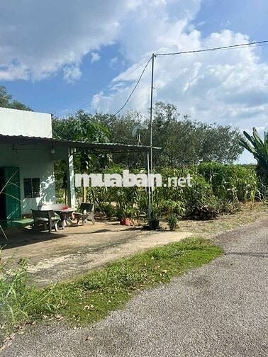 Chủ kẹt tiền cần ra gấp lô đất mặt tiền DH519, 388m2, giá 500tr