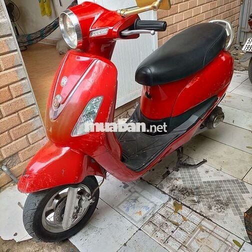 SYM Elizabeth tứ quý 4