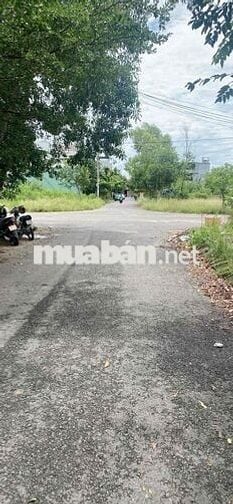 bán biệt thự tân cổ điển 150m2 khu 532 đường khánh an