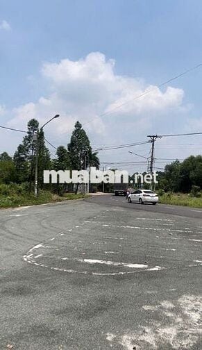 Bán đất xã Lai Hưng, huyện Bàu Bàng, Bình Dương, 185m2 giá 1,250