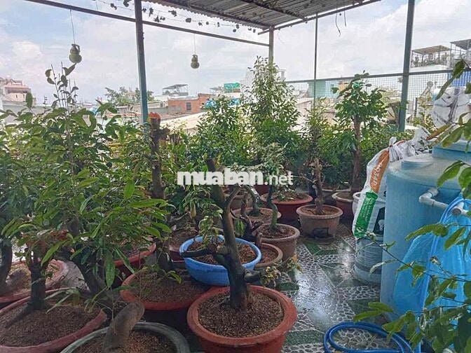 Trệt lầu 6*7 2pn có sân thượng đi gò vấp gần Rẻ chốt lẹ