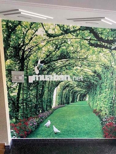 CHO THUÊ NHÀ MỚI XE HƠI TRONG NHÀ