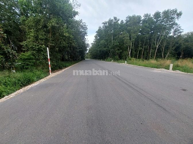 BÀN LÔ ĐÂT 2 MẶT TIẾN ĐƯỚNG 250M2 SỔ SẴN, CÔNG CHỨNG NGAY