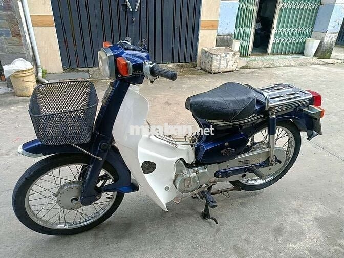 Cub 50 cc
