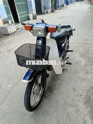Cub 50 cc