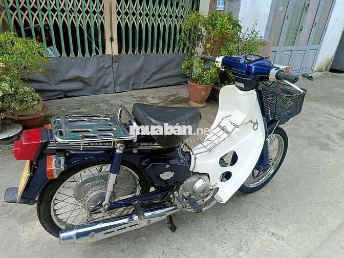 Cub 50 cc