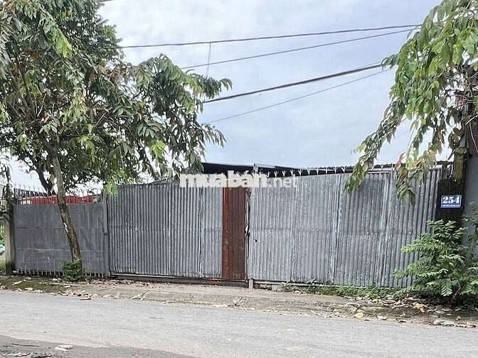 NHÀ XƯỞNG 16 X 19M MẶT TIỀN NGUYỄN THỊ MƯỜI ĐÔNG THẠNH, HCM