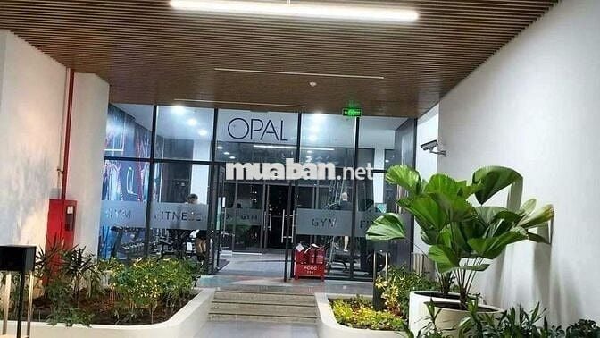 Bảng giá căn hộ tháng 11/2025 dự án Opal Skyline , Lái Thiêu, Thuận An