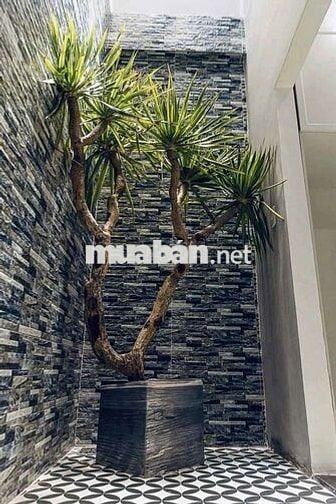 Siêu phẩm 3 tầng VIP Hòa Cường Hải Châu Đà Nẵng