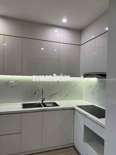 chính chủ chi thuê 1n+1 toà S full nội thất cao cấp