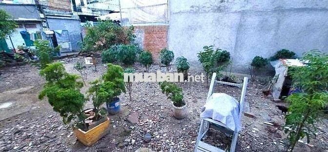 🔥Đất Đẹp Trung Tâm Dĩ An – Nguyễn Tri Phương, 4,7x16m, Sổ Hồng Riêng,