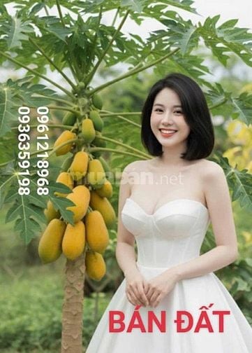 Bán Nhà ĐẤT MẶT HỒ TRUNG KÍNH. NGÕ 110 TRẦN DUY HƯNG CẦU GIẤY DT 88 M 