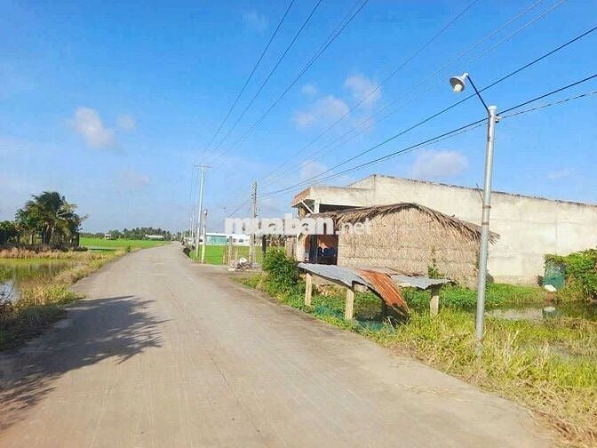 Hàng f0, 149.5m2 đất thổ cư đường xe tải nguyễn văn mỹ, 590tr