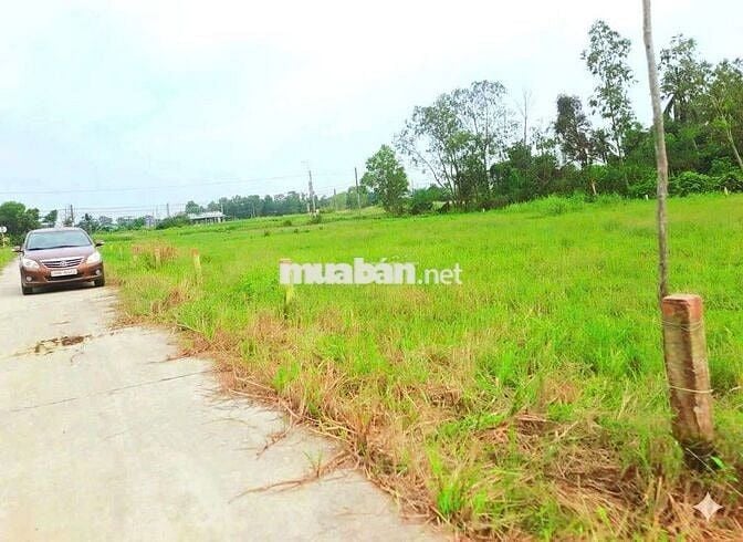 Hàng f0, 149.5m2 đất thổ cư đường xe tải nguyễn văn mỹ, 590tr