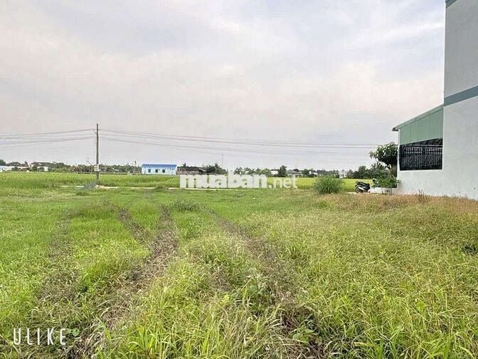 5×24 THỔ 100% ĐƯỜNG ÔTÔ NGAY ĐẤT ,LIỀN KỀ THỊ TRẤN