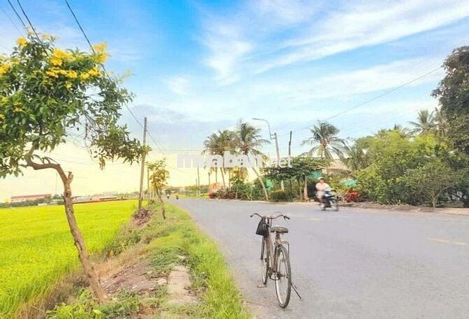 Hàng f0, 149.5m2 đất thổ cư đường xe tải nguyễn văn mỹ, 590tr