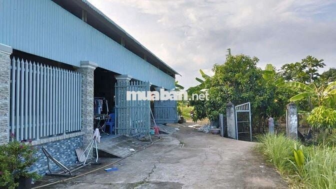 Cần Bán Gấp Lô Đất 5481m2 Ở Đường Lương Văn Nho, Trung Tâm H. Cần Giờ.