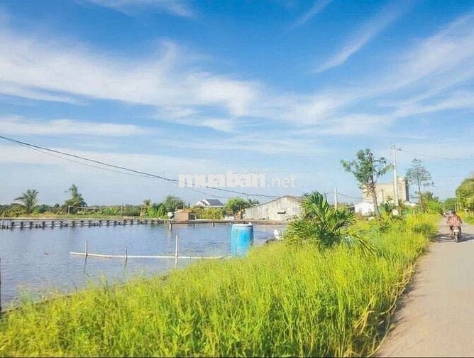 Hàng f0, 149.5m2 đất thổ cư đường xe tải nguyễn văn mỹ, 590tr