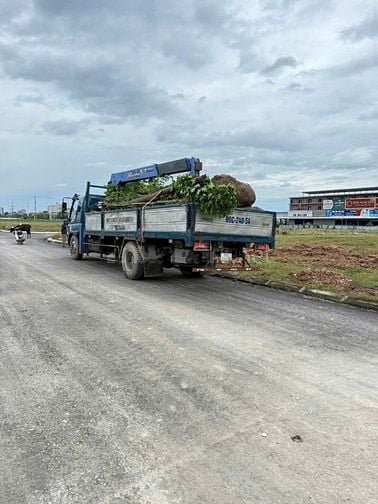 Bán Đất Khu Đô Thị Đình Trám Sen Hồ CL83, CL66, CL78, CL44 .