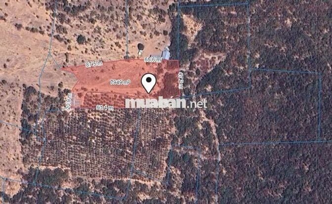 Bán gấp đi định cư , liên hệ chính chủ