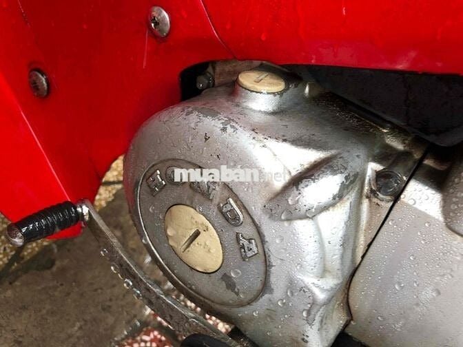 FUTURE TQ LÊN NGUYÊN CON NHẬT