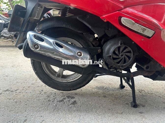 Attila Elizabeth Fi Biển Số Thành Phố