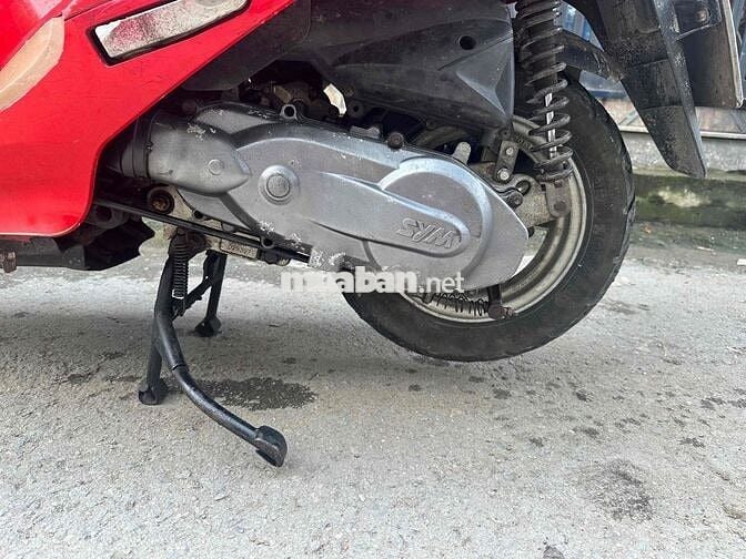 Attila Elizabeth Fi Biển Số Thành Phố