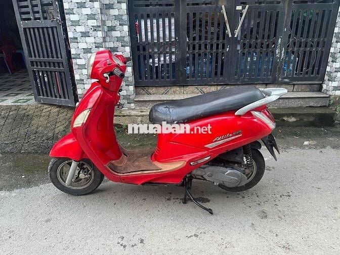 Attila Elizabeth Fi Biển Số Thành Phố