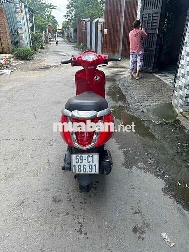 Attila Elizabeth Fi Biển Số Thành Phố