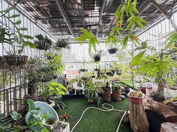 Bán nhà LK-KĐT Dương Nội,5TầngX83m, Tháng máy, đường 13m, nội thất xịn