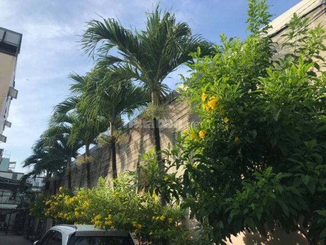 Thủ Đức-Cần cho thuê nhà nguyên căn