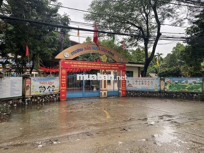 Bán gấp đất Liên Ninh ô tô tránh ngõ thông kinh doanh đỉnh giá 9.95 tỷ