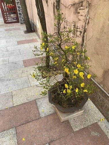 Thủ Đức-Cần cho thuê nhà nguyên căn