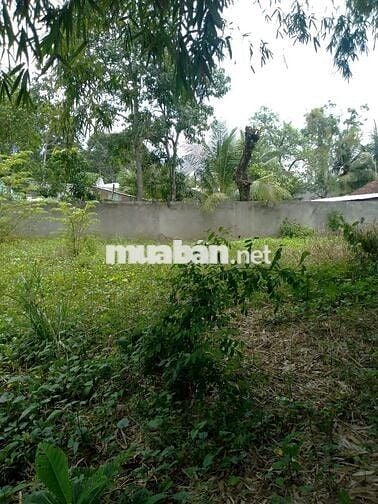 ĐẤT 1000 M2 ,THỔ CƯ 100% LONG AN - HÀNG HIẾM