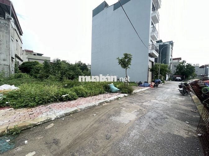 Bán gấp đất đấu gía  Tân Hà Ngũ Hiệp  ô tô tránh lô góc  giá 6.85 tỷ