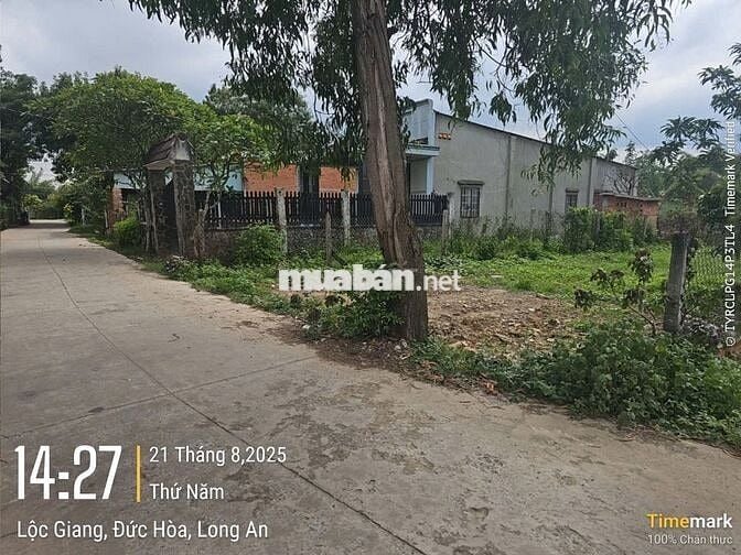 ĐẤT 1000 M2 ,THỔ CƯ 100% LONG AN - HÀNG HIẾM