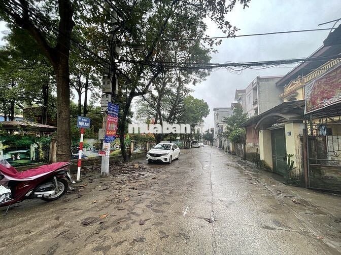 Bán gấp đất Liên Ninh ô tô tránh ngõ thông kinh doanh đỉnh giá 9.95 tỷ