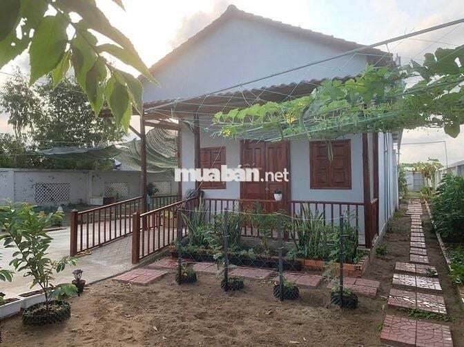 CĂN NHÀ VƯỜN SIÊU RỘNG 570M ĐẸP 900 TRIỆU THƯƠNG LƯỢNG